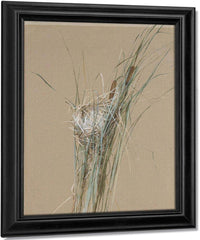 Bird's Nest In Cattails By Fidelia Bridges Fine Art Print