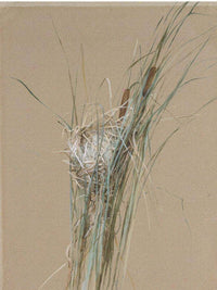 Bird's Nest In Cattails By Fidelia Bridges Fine Art Print