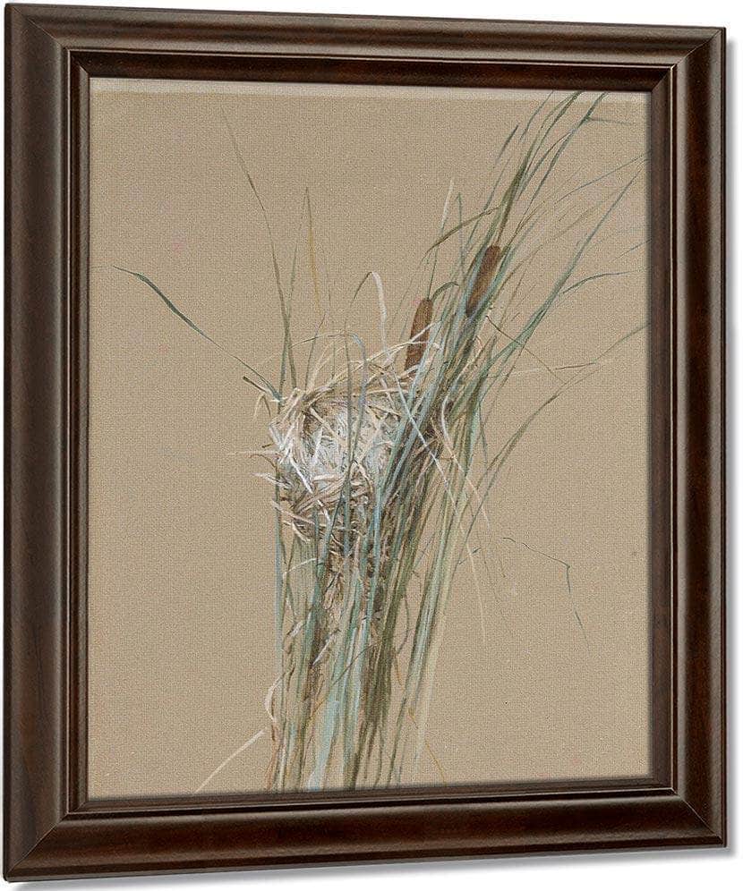 Bird's Nest In Cattails By Fidelia Bridges Fine Art Print