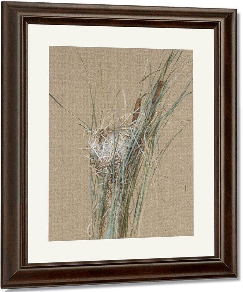Bird's Nest In Cattails By Fidelia Bridges Fine Art Print