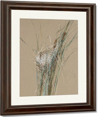 Bird's Nest In Cattails By Fidelia Bridges Fine Art Print