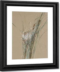 Bird's Nest In Cattails By Fidelia Bridges Fine Art Print