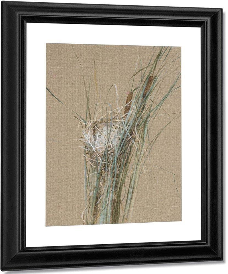 Bird's Nest In Cattails By Fidelia Bridges Fine Art Print