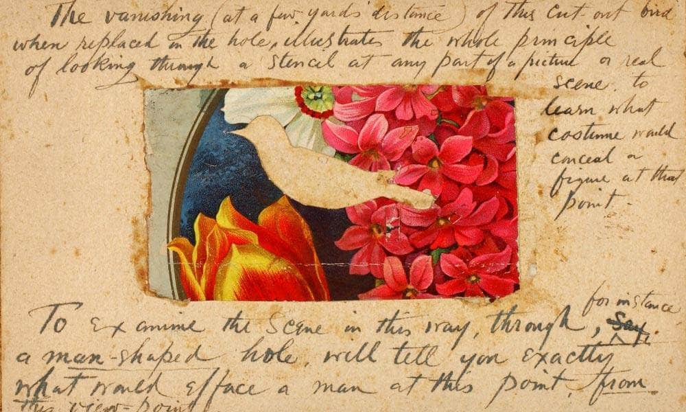 Bird Stencil, Study Folder For Book Concealing Coloration In The Animal Kingdom By Abbott Handerson Thayer Fine Art Print