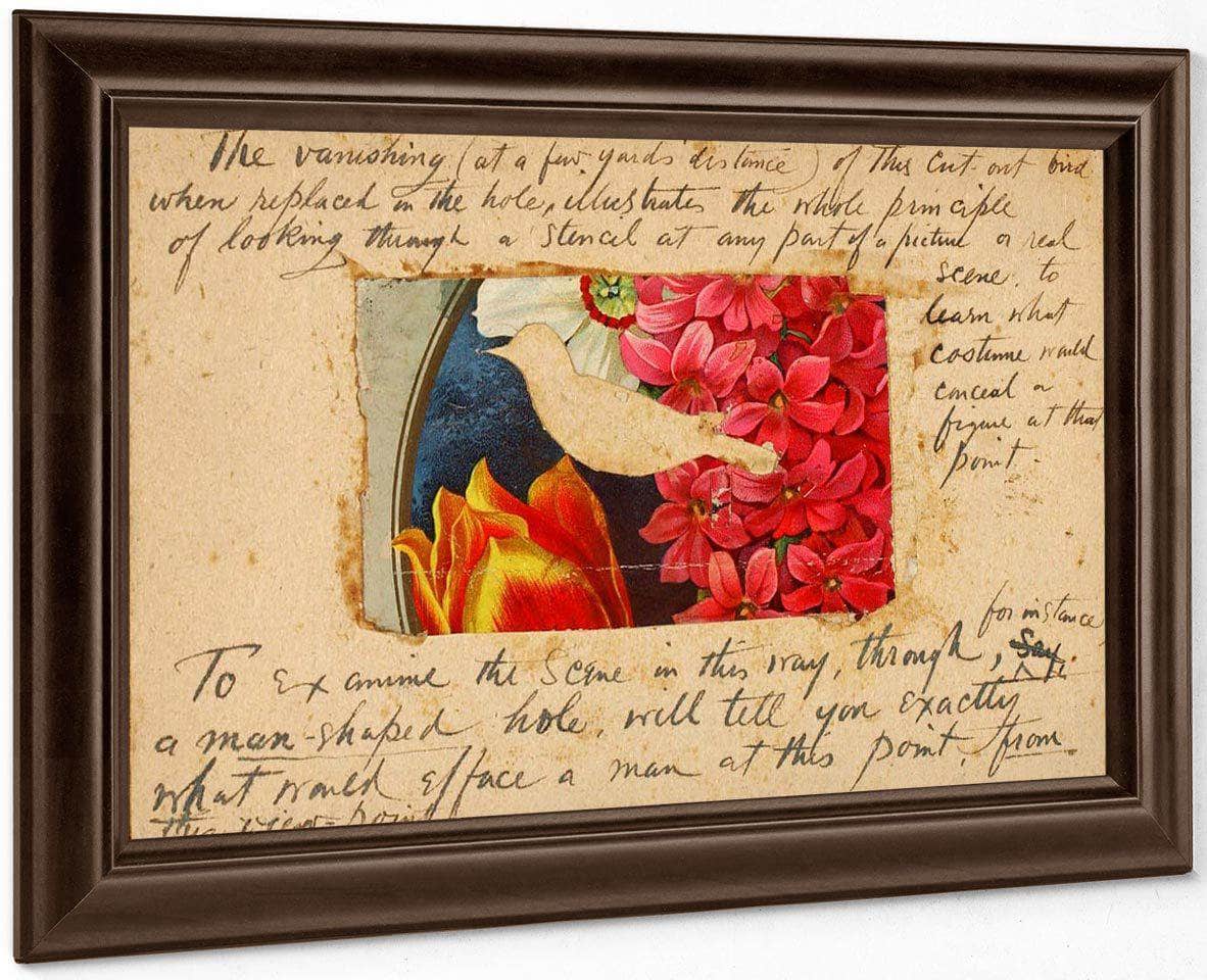 Bird Stencil, Study Folder For Book Concealing Coloration In The Animal Kingdom By Abbott Handerson Thayer Fine Art Print