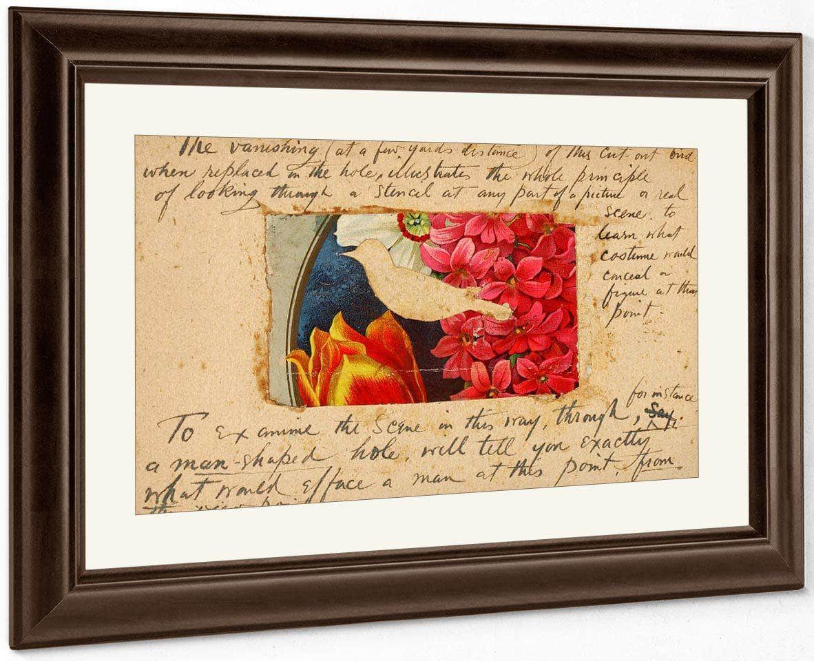 Bird Stencil, Study Folder For Book Concealing Coloration In The Animal Kingdom By Abbott Handerson Thayer Fine Art Print