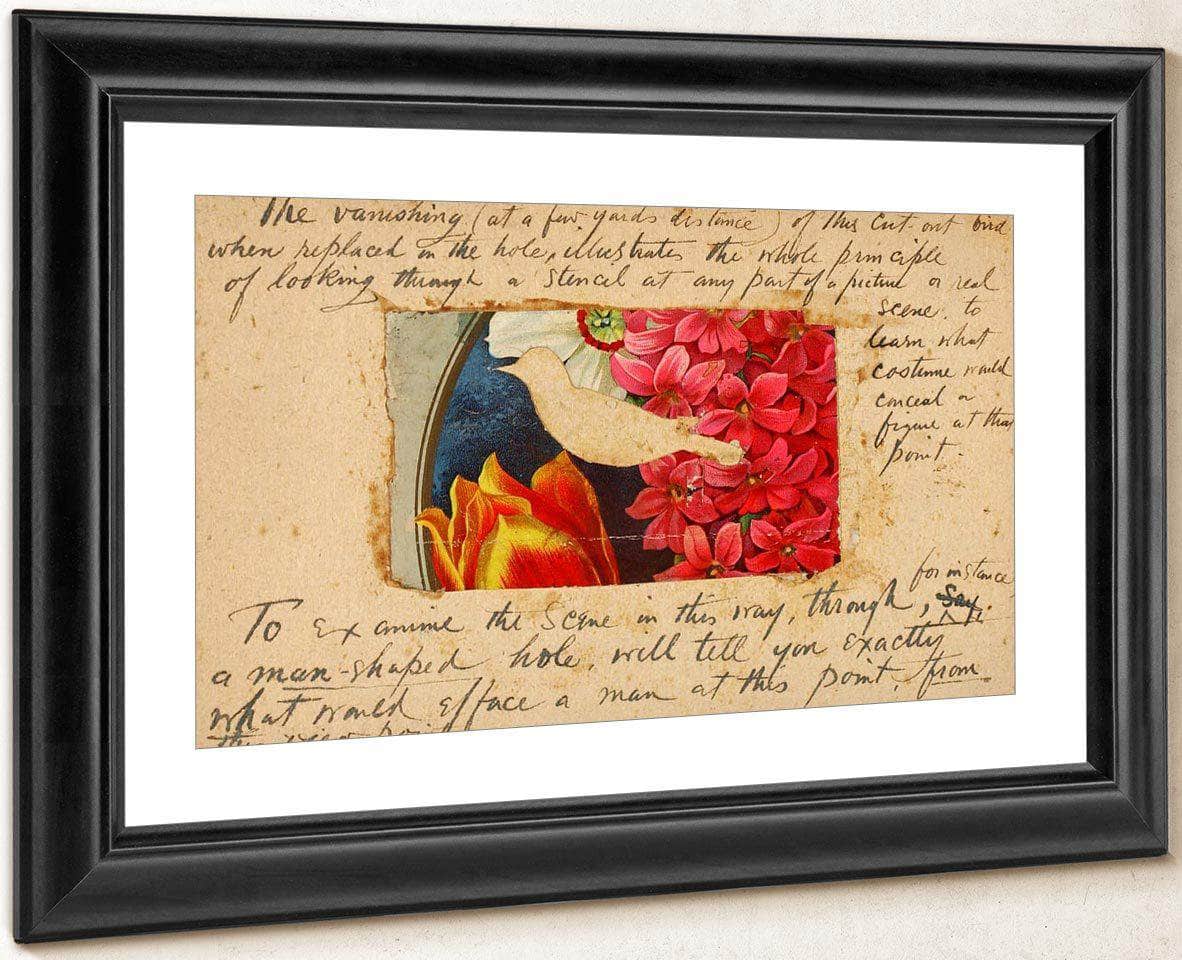 Bird Stencil, Study Folder For Book Concealing Coloration In The Animal Kingdom By Abbott Handerson Thayer Fine Art Print