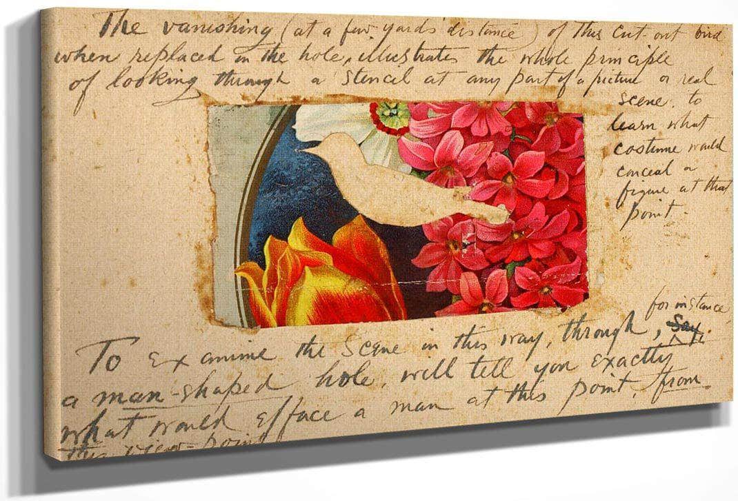 Bird Stencil, Study Folder For Book Concealing Coloration In The Animal Kingdom By Abbott Handerson Thayer Fine Art Print