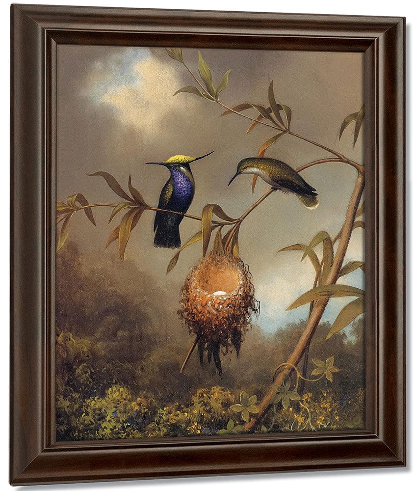 Black Breasted Plovercrest By Martin Johnson Heade Fine Art Print