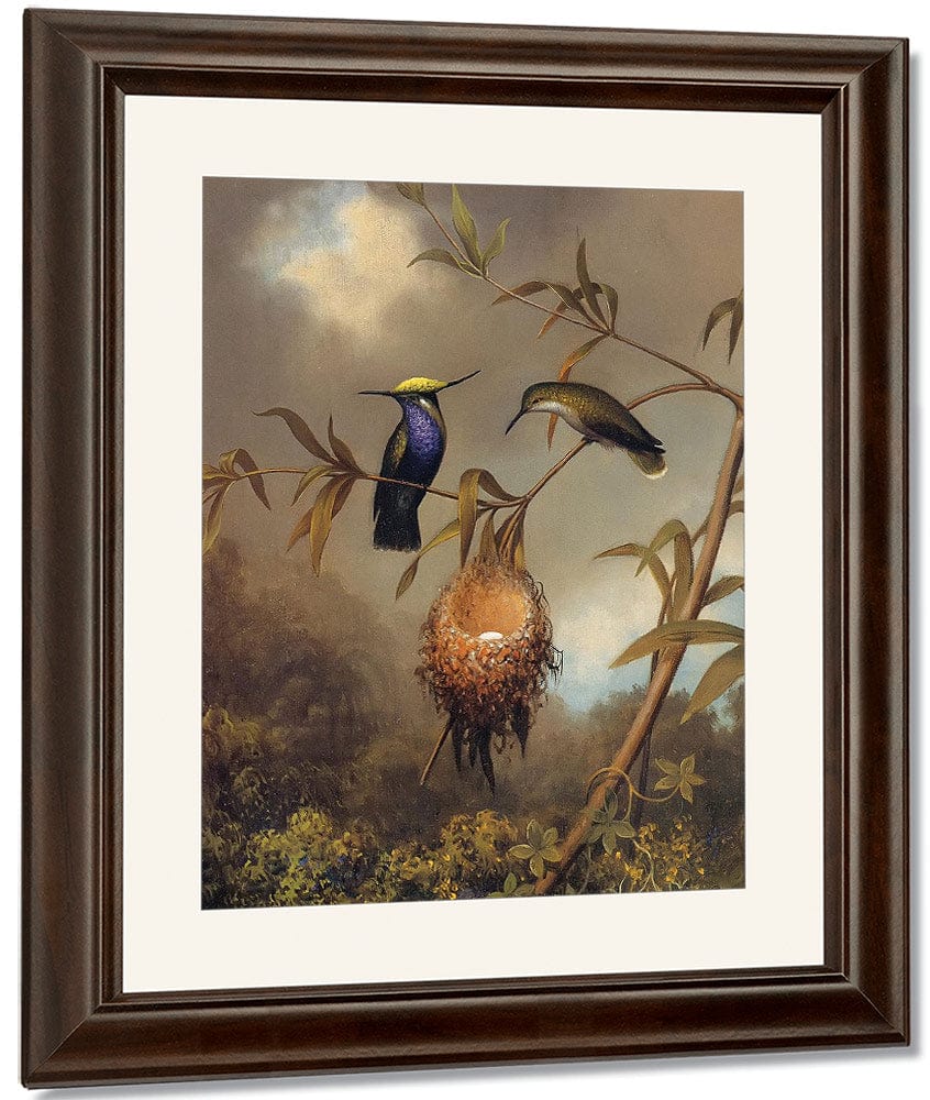 Black Breasted Plovercrest By Martin Johnson Heade Fine Art Print