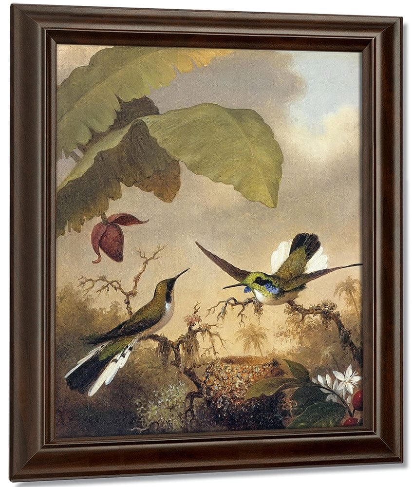 Black Eared Fairy By Martin Johnson Heade Fine Art Print