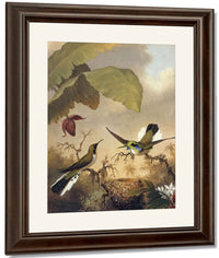 Black Eared Fairy By Martin Johnson Heade Fine Art Print
