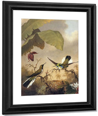 Black Eared Fairy By Martin Johnson Heade Fine Art Print