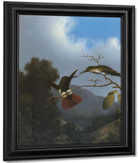 Black Throated Mango By Martin Johnson Heade Fine Art Print