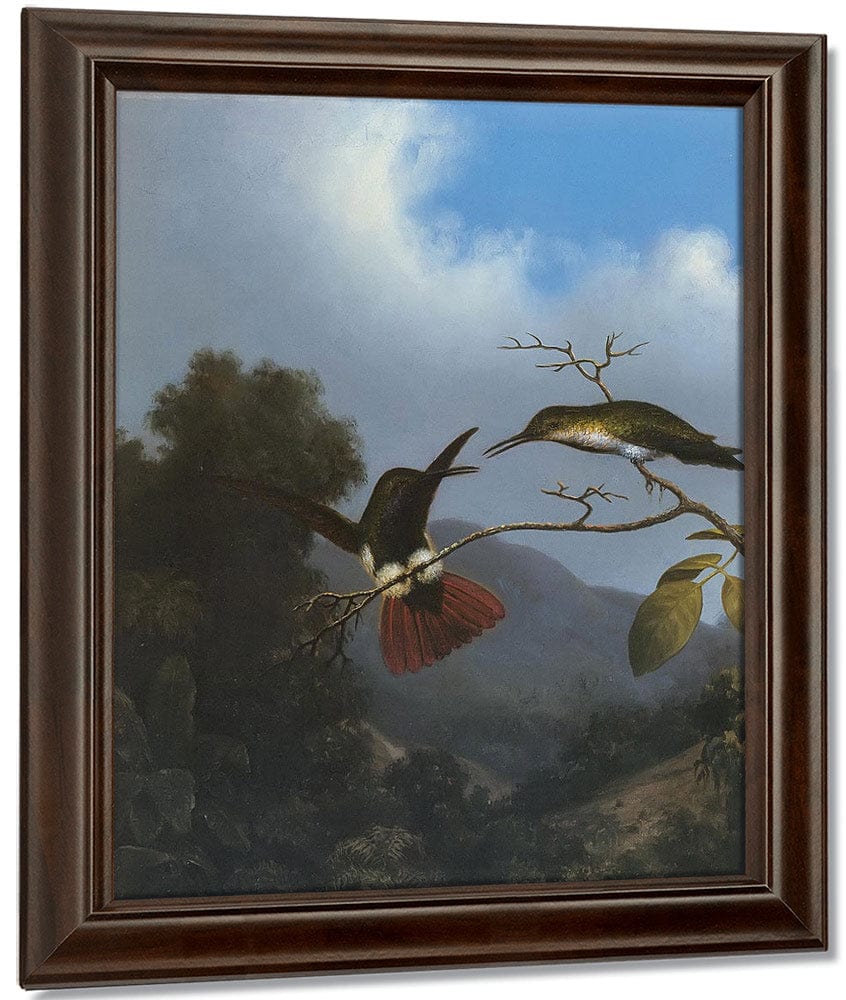 Black Throated Mango By Martin Johnson Heade Fine Art Print