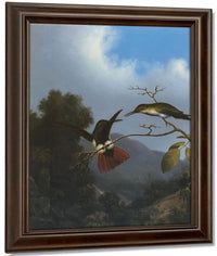 Black Throated Mango By Martin Johnson Heade Fine Art Print