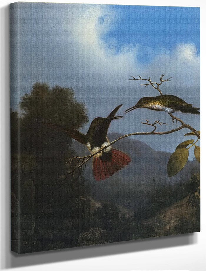 Black Throated Mango By Martin Johnson Heade Fine Art Print