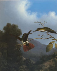 Black Throated Mango By Martin Johnson Heade Fine Art Print