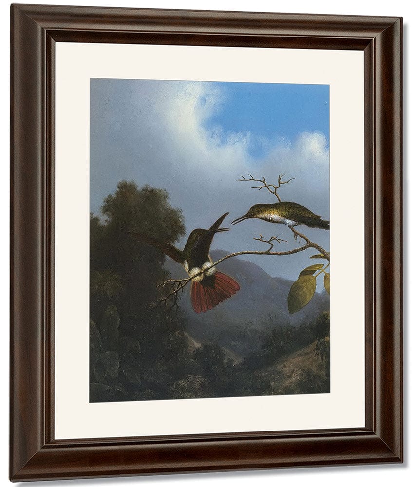 Black Throated Mango By Martin Johnson Heade Fine Art Print