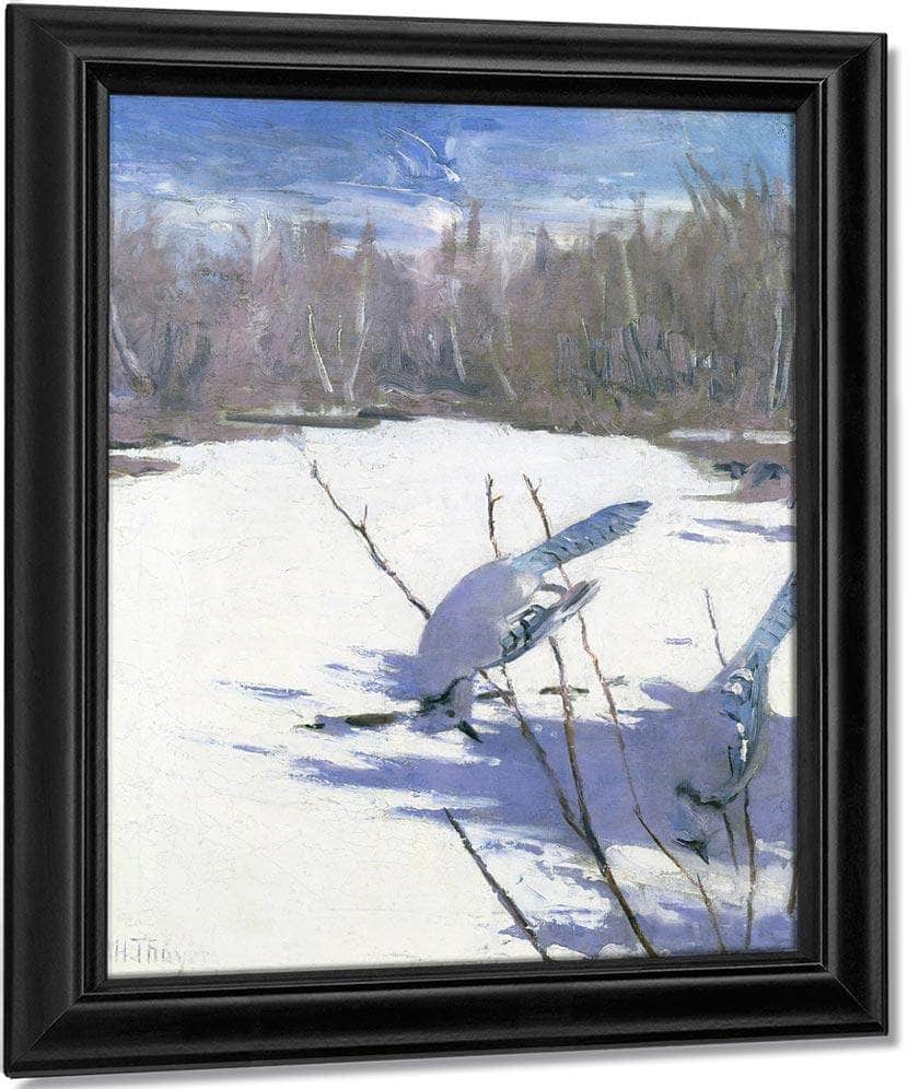 Blue Jays In Winter, Study For Book Concealing Coloration In The Animal Kingdom By Abbott Handerson Thayer Fine Art Print
