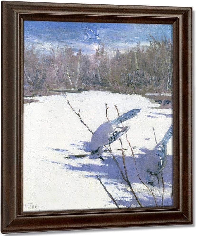 Blue Jays In Winter, Study For Book Concealing Coloration In The Animal Kingdom By Abbott Handerson Thayer Fine Art Print