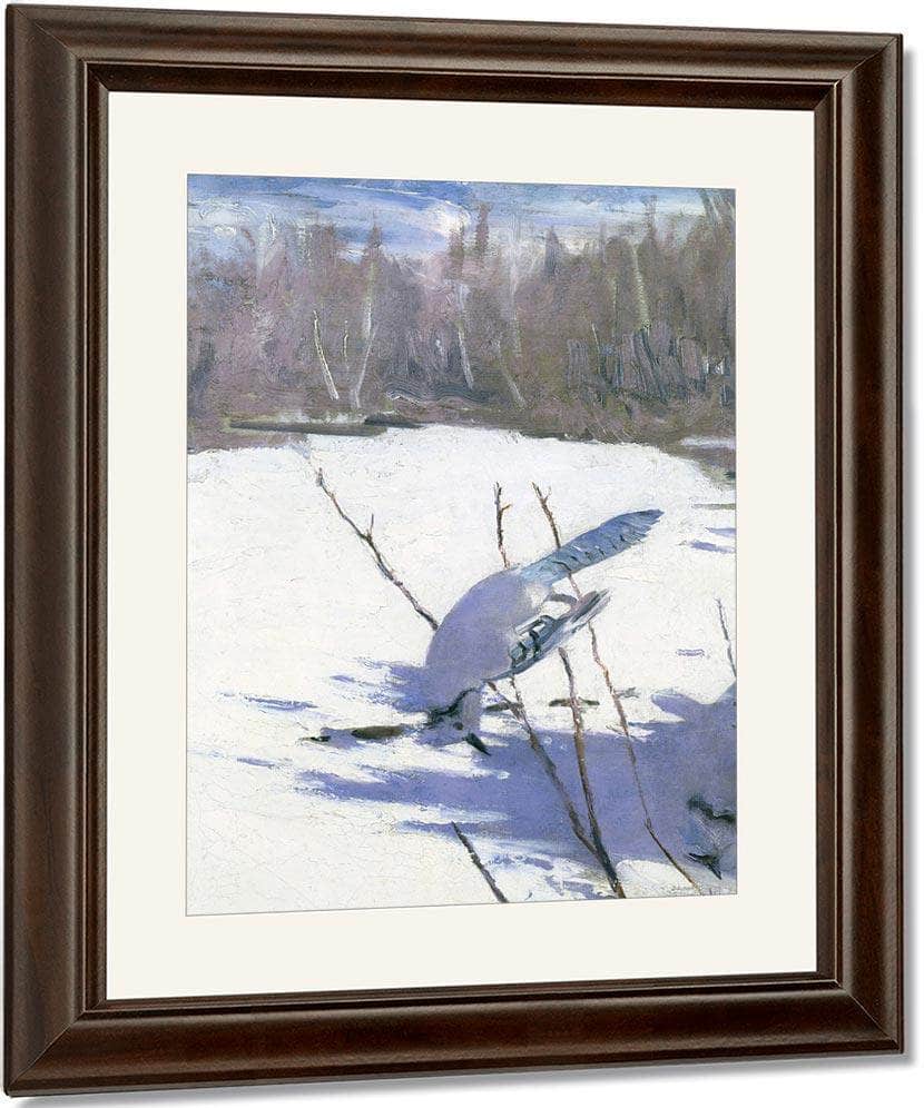 Blue Jays In Winter, Study For Book Concealing Coloration In The Animal Kingdom By Abbott Handerson Thayer Fine Art Print