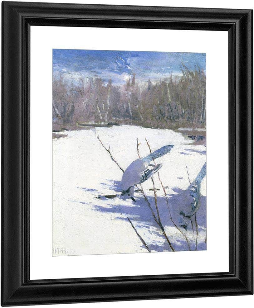 Blue Jays In Winter, Study For Book Concealing Coloration In The Animal Kingdom By Abbott Handerson Thayer Fine Art Print