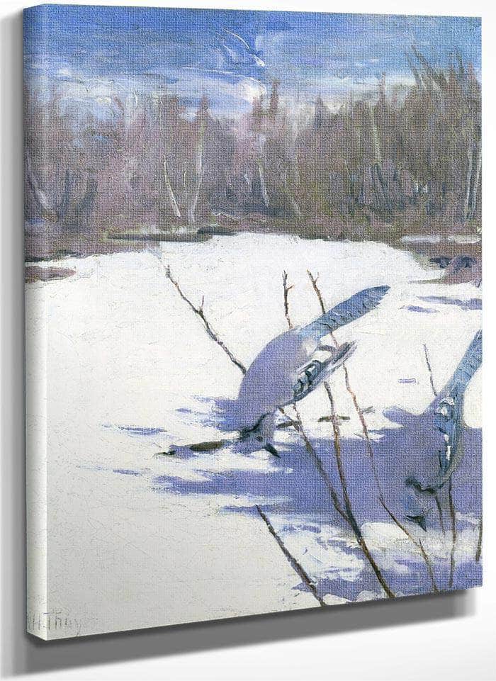 Blue Jays In Winter, Study For Book Concealing Coloration In The Animal Kingdom By Abbott Handerson Thayer Fine Art Print