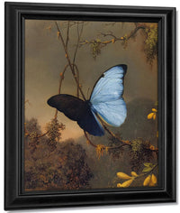 Blue Morpho Butterfly By Martin Johnson Heade Fine Art Print