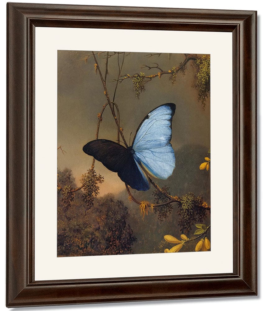 Blue Morpho Butterfly By Martin Johnson Heade Fine Art Print