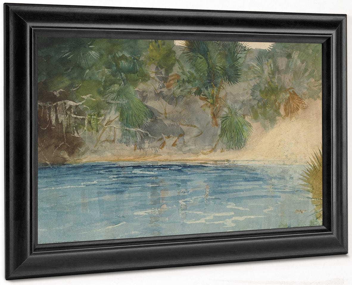 Blue Spring, Florida By Winslow Homer Fine Art Print