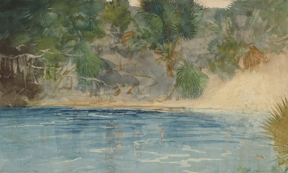Blue Spring, Florida By Winslow Homer Fine Art Print