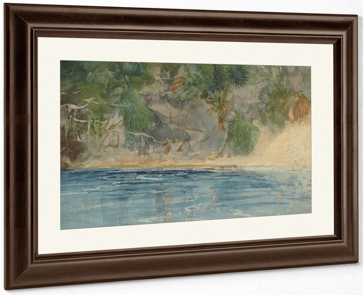 Blue Spring, Florida By Winslow Homer Fine Art Print