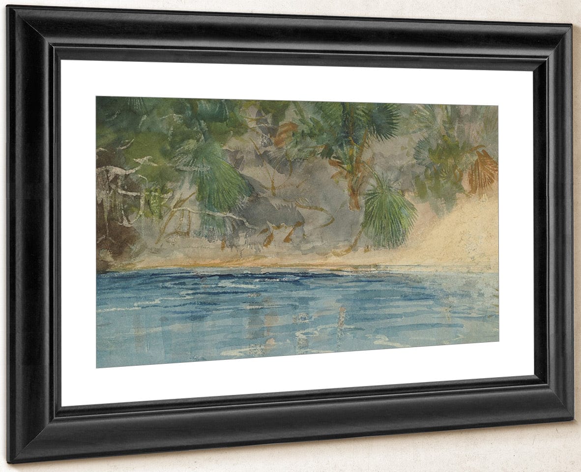 Blue Spring, Florida By Winslow Homer Fine Art Print