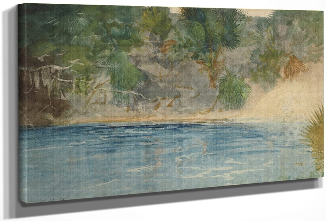 Blue Spring, Florida By Winslow Homer Fine Art Print