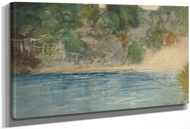 Blue Spring, Florida By Winslow Homer Fine Art Print