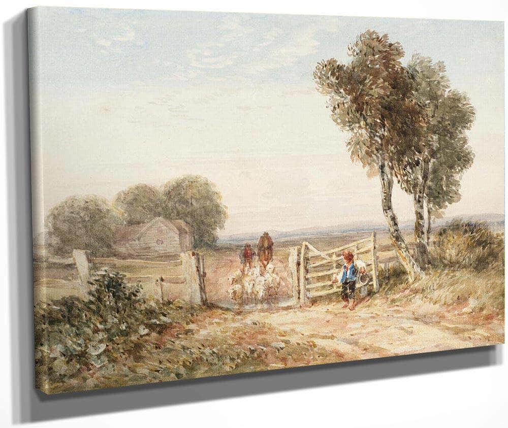 Boy Opening Gate For Sheep By David Cox Fine Art Print