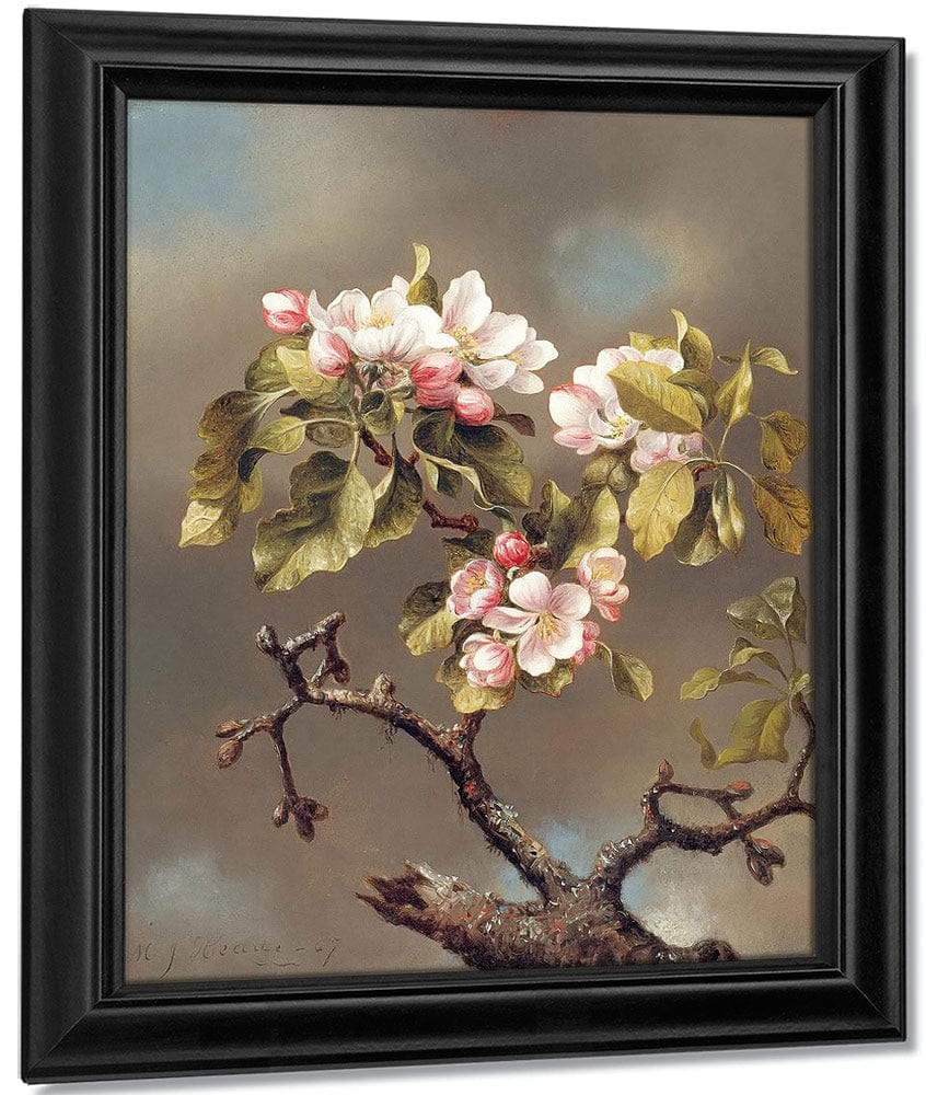 Branch Of Apple Blossoms Against A Cloudy Sky By Martin Johnson Heade Fine Art Print