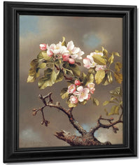 Branch Of Apple Blossoms Against A Cloudy Sky By Martin Johnson Heade Fine Art Print