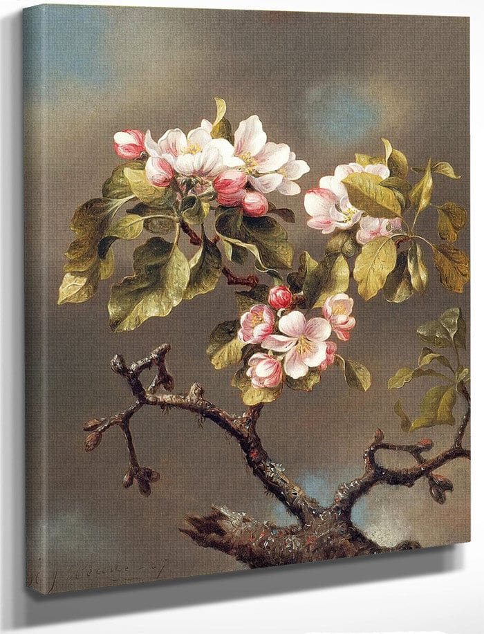 Branch Of Apple Blossoms Against A Cloudy Sky By Martin Johnson Heade Fine Art Print