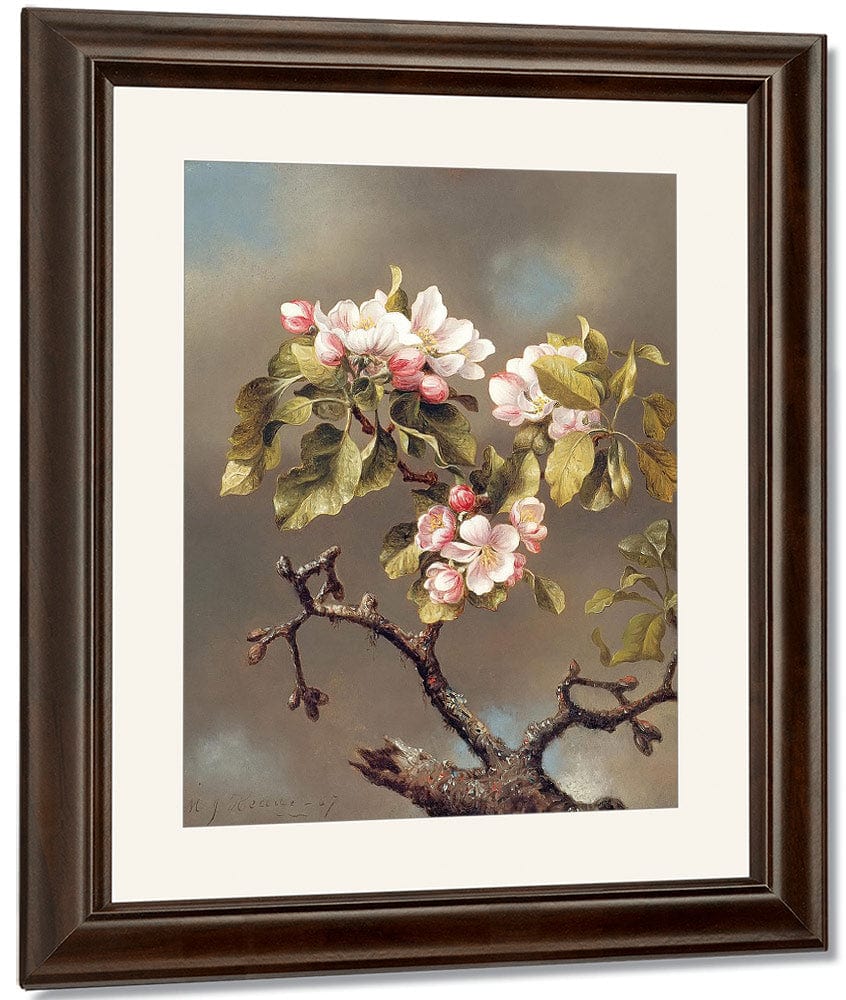 Branch Of Apple Blossoms Against A Cloudy Sky By Martin Johnson Heade Fine Art Print