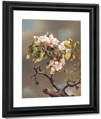 Branch Of Apple Blossoms Against A Cloudy Sky By Martin Johnson Heade Fine Art Print