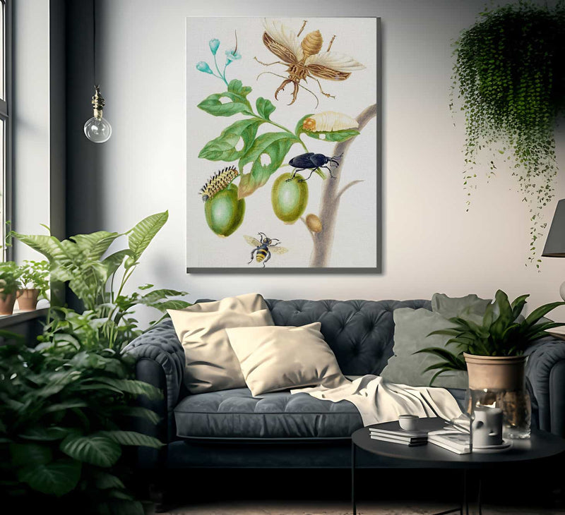 Branch Of Genipapo With Long Horned Beetle 1703 By Maria Sibylla Merian Fine Art Print