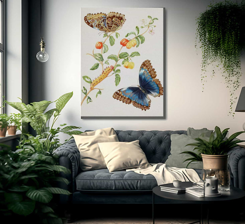 Branch Of West Indian Cherry With Achilles Morpho Butterfly 1703 By Maria Sibylla Merian Fine Art Print