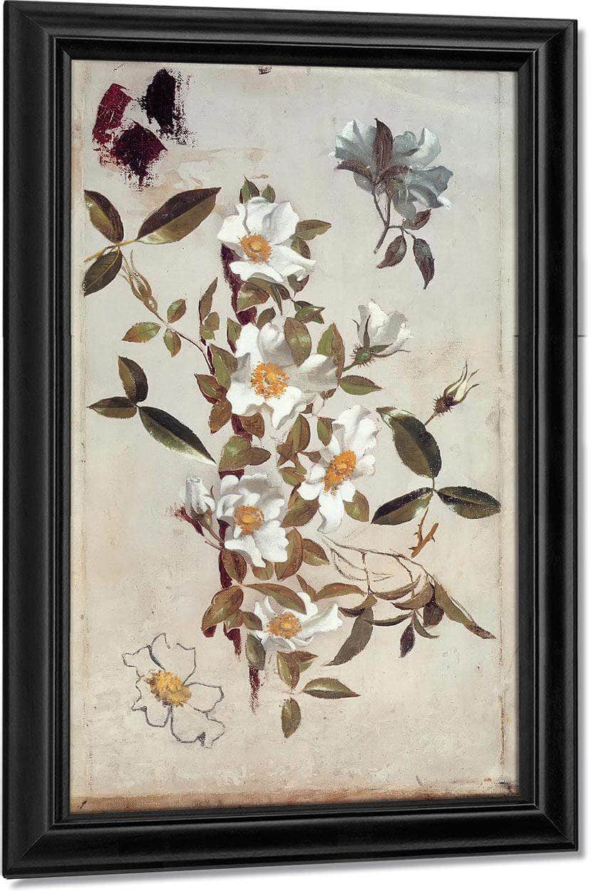 Branches And Cherokee Roses By Martin Johnson Heade Fine Art Print