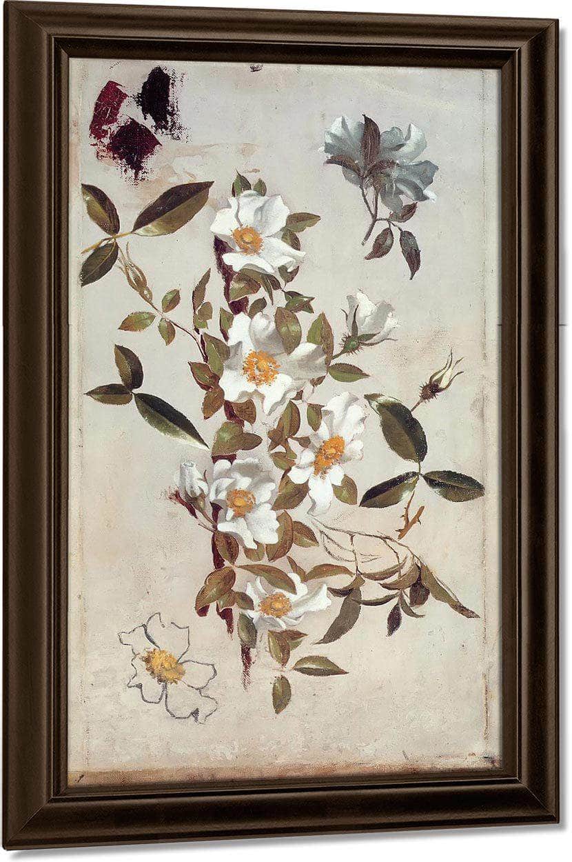 Branches And Cherokee Roses By Martin Johnson Heade Fine Art Print