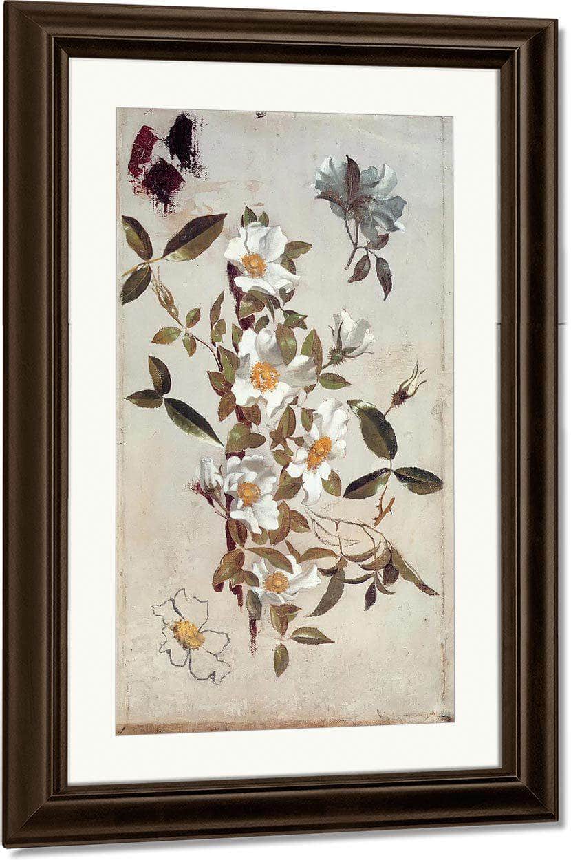 Branches And Cherokee Roses By Martin Johnson Heade Fine Art Print