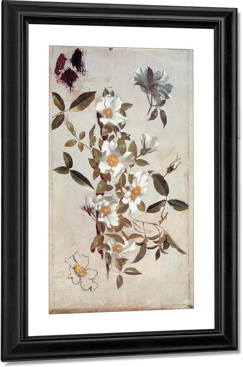 Branches And Cherokee Roses By Martin Johnson Heade Fine Art Print