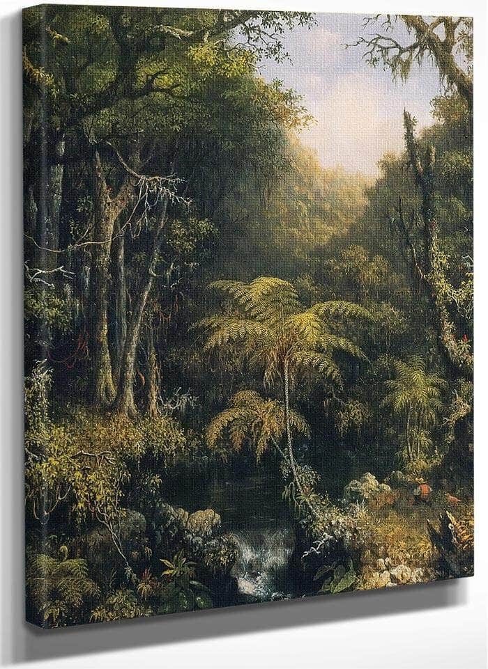 Brazilian Forest By Martin Johnson Heade Fine Art Print