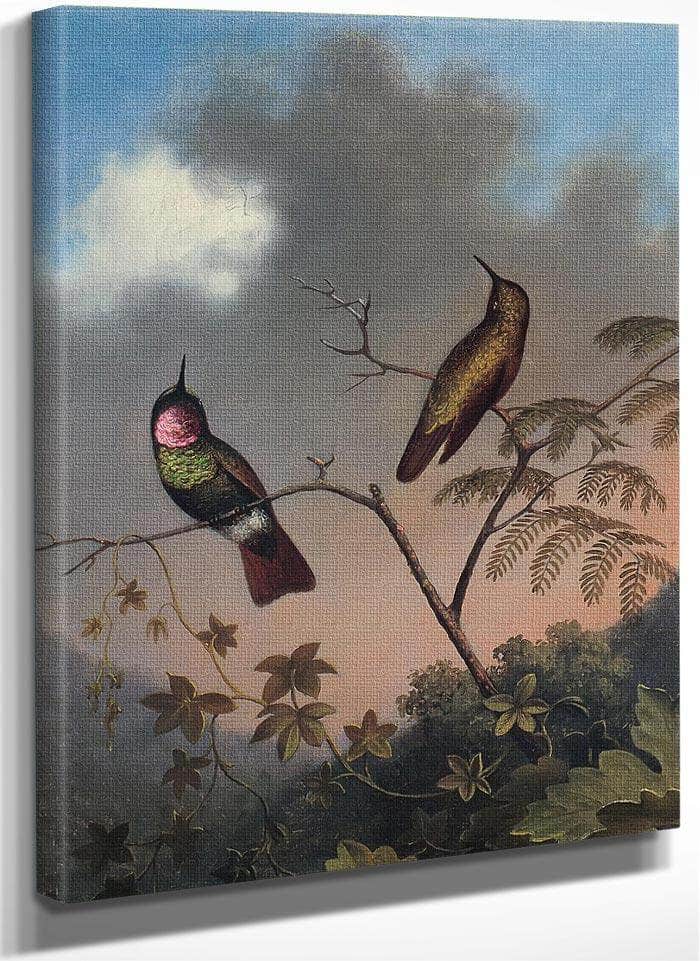 Brazilian Ruby By Martin Johnson Heade Fine Art Print